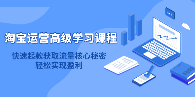 淘宝运营高级学习课程：快速获取流量核心秘密，轻松实现盈利！-小白项目网