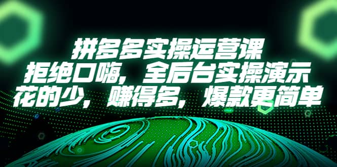 拼多多实操运营课：拒绝口嗨，全后台实操演示，花的少，赚得多，爆款更简单-小白项目网