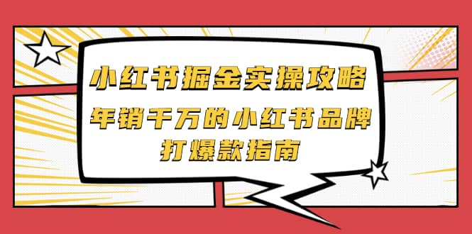 小红书掘金实操攻略，年销千万的小红书品牌打爆款指南-小白项目网