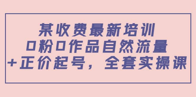 某收费最新培训：0粉0作品自然流量+正价起号，全套实操课-小白项目网