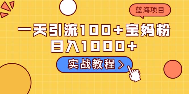 一天引流100+宝妈粉，日入1000+的蓝海项目（实战教程）-小白项目网