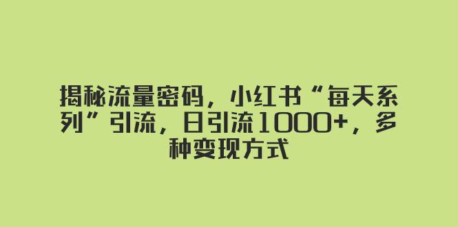 揭秘流量密码，小红书“每天系列”引流，日引流1000+，多种变现方式-小白项目网