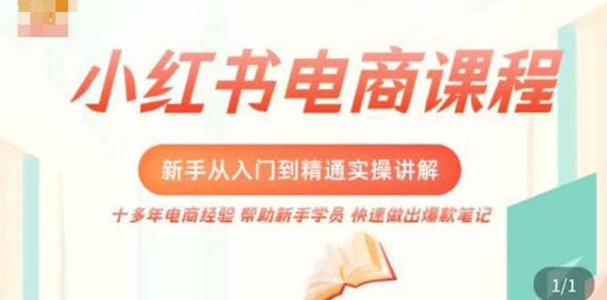 小红书电商小白入门到精通实操课，从入门到精通做爆款笔记，开店运营-小白项目网