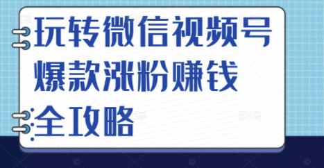 玩转微信视频号爆款涨粉赚钱全攻略，让你快速抓住流量风口，收获红利财富-小白项目网