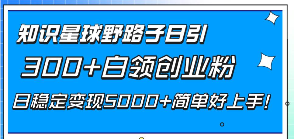 知识星球野路子日引300+白领创业粉，日稳定变现5000+简单好上手！-小白项目网