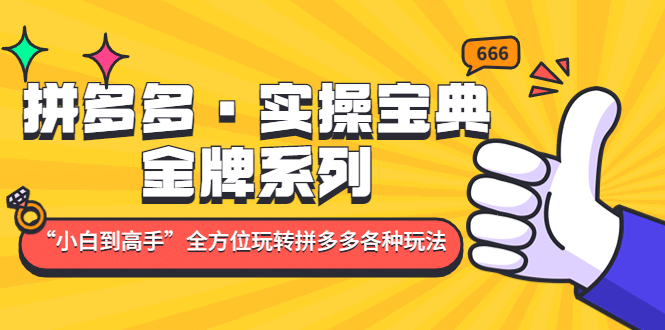 拼多多·实操宝典：金牌系列“小白到高手”带你全方位玩转拼多多各种玩法-小白项目网