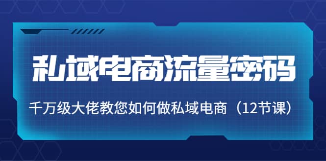 私域电商流量密码：千万级大佬教您如何做私域电商（12节课）-小白项目网