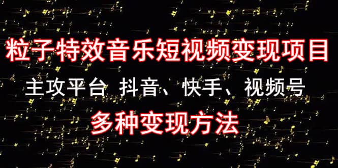 《粒子特效音乐短视频变现项目》主攻平台 抖音、快手、视频号 多种变现方法-小白项目网