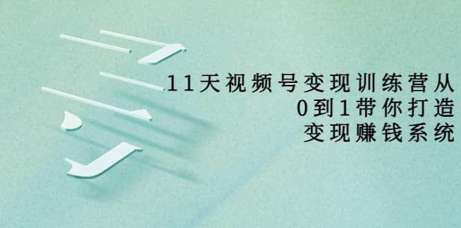 好望角·11天视频号变现训练营，从0到1打造变现赚钱系统（价值398）-小白项目网