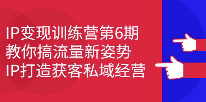 IP变现训练营第6期：教你搞流量新姿势，IP打造获客私域经营-小白项目网