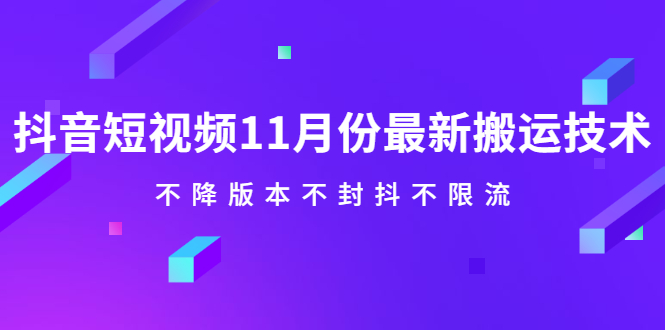 抖音短视频11月份最新搬运技术，不降版本不封抖不限流！【视频课程】-小白项目网