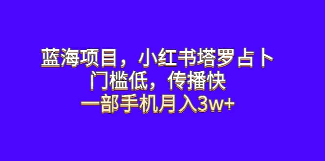 蓝海项目，小红书塔罗占卜，门槛低，传播快，一部手机月入3w+-小白项目网