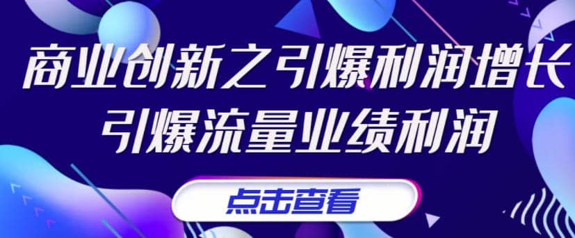 《商业创新之引爆利润增长》引爆流量业绩利润-小白项目网