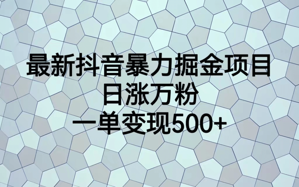 最火热的抖音暴力掘金项目，日涨万粉，多种变现方式，一单变现可达500+-小白项目网