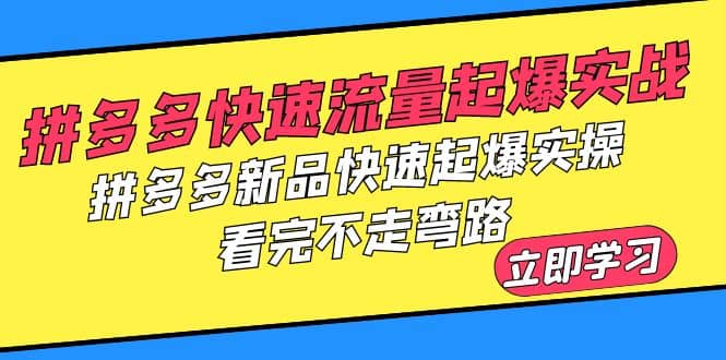 拼多多-快速流量起爆实战，拼多多新品快速起爆实操，看完不走弯路-小白项目网