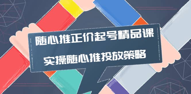 随心推正价起号精品课，实操随心推投放策略（5节课-价值298）-小白项目网