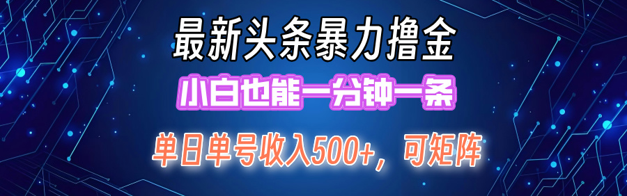 最新头条撸金，小白也能一分钟一条-小白项目网