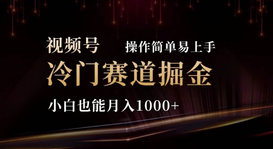 2024视频号冷门赛道掘金，操作简单轻松上手，小白也能月入1000+-小白项目网