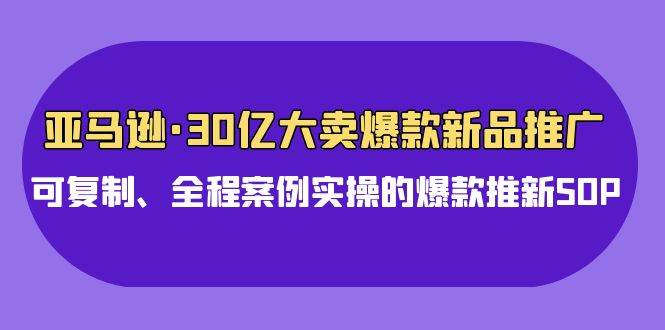 亚马逊30亿·大卖爆款新品推广，可复制、全程案例实操的爆款推新SOP-小白项目网