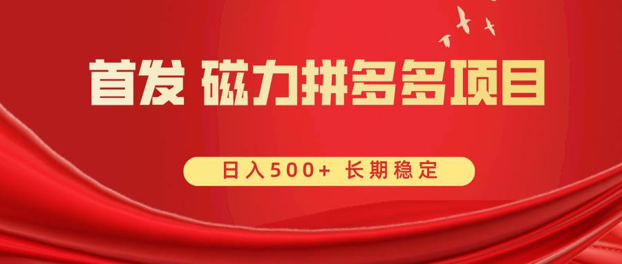 首发 磁力拼多多自撸  日入500+-小白项目网