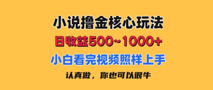 小说撸金核心玩法，日收益500-1000+，小白看完照样上手，0成本有手就行-小白项目网