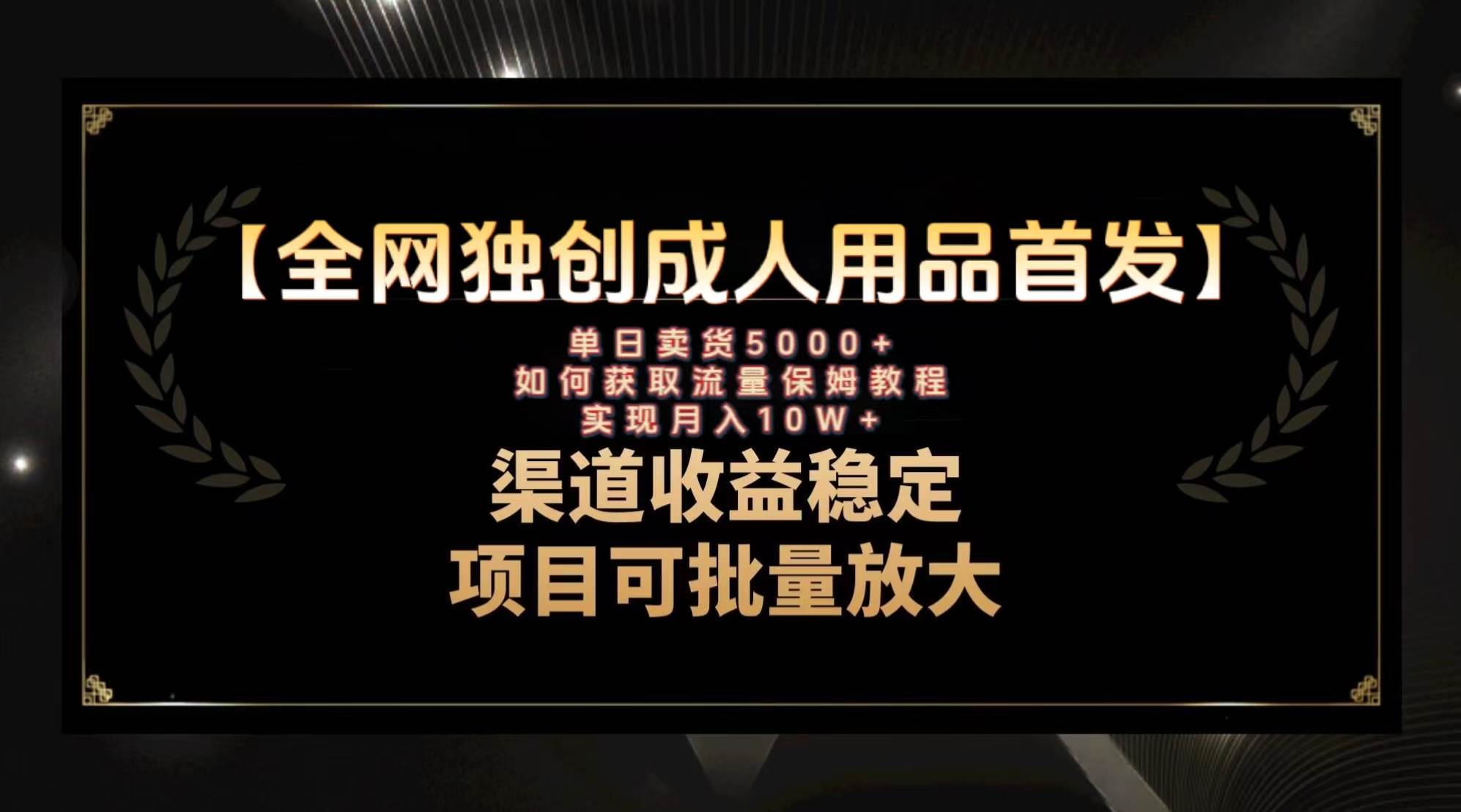 最新全网独创首发，成人用品赛道引流获客，月入10w保姆级教程-小白项目网