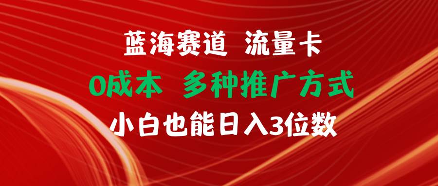 蓝海赛道 流量卡 0成本 小白也能日入三位数-小白项目网