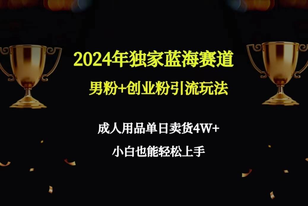 2024年独家蓝海赛道男粉+创业粉引流玩法，成人用品单日卖货4W+保姆教程-小白项目网