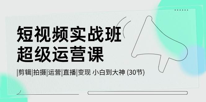 短视频实战班-超级运营课，|剪辑|拍摄|运营|直播|变现 小白到大神 (30节)-小白项目网