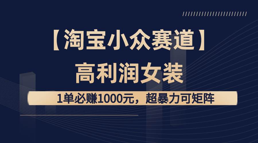 【淘宝小众赛道】高利润女装：1单必赚1000元，超暴力可矩阵-小白项目网