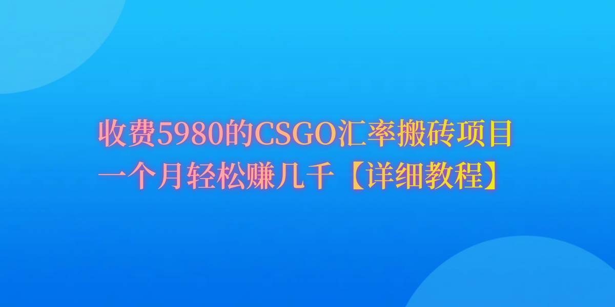 CSGO装备搬砖，月综合收益率高达60%，你也可以！-小白项目网