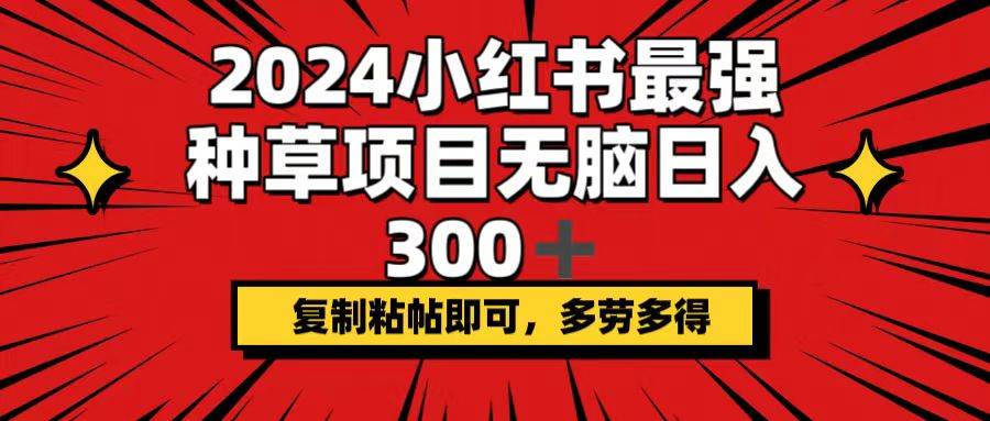 2024小红书最强种草项目，无脑日入300+，复制粘帖即可，多劳多得-小白项目网