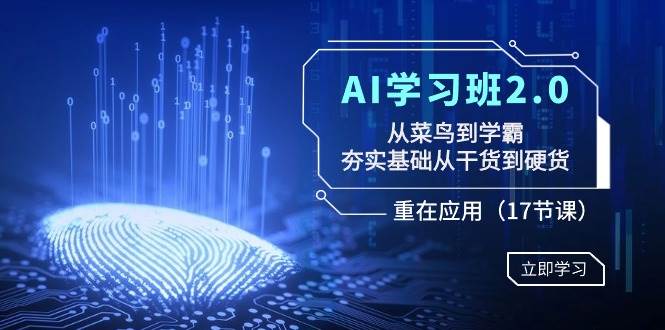 AI学习班2.0：从菜鸟到学霸，夯实基础从干货到硬货，重在应用（17节课）-小白项目网