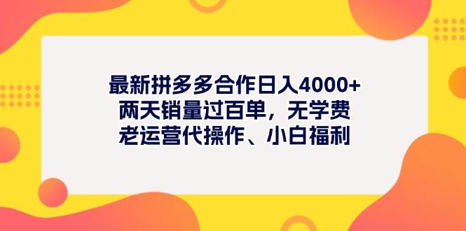 最新拼多多项目日入4000+两天销量过百单，无学费、老运营代操作、小白福利-小白项目网