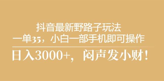 抖音最新野路子玩法，一单35，小白一部手机即可操作，，日入3000+，闷…-小白项目网