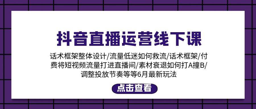 抖音直播运营线下课：话术框架/付费流量直播间/素材A撞B/等6月新玩法-小白项目网