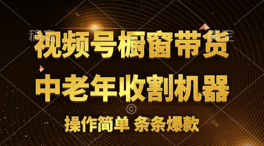 [你的孩子成功取得高位]视频号最火爆赛道，橱窗带货，流量分成计划，条…-小白项目网