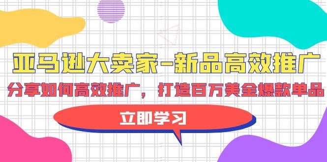 亚马逊 大卖家-新品高效推广，分享如何高效推广，打造百万美金爆款单品-小白项目网