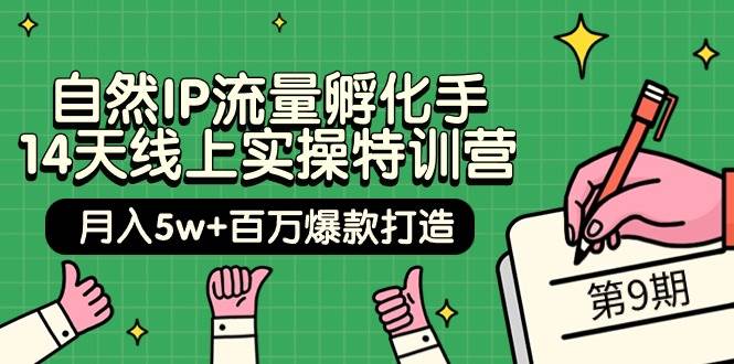 自然IP流量孵化手 14天线上实操特训营【第9期】月入5w+百万爆款打造 (74节)-小白项目网