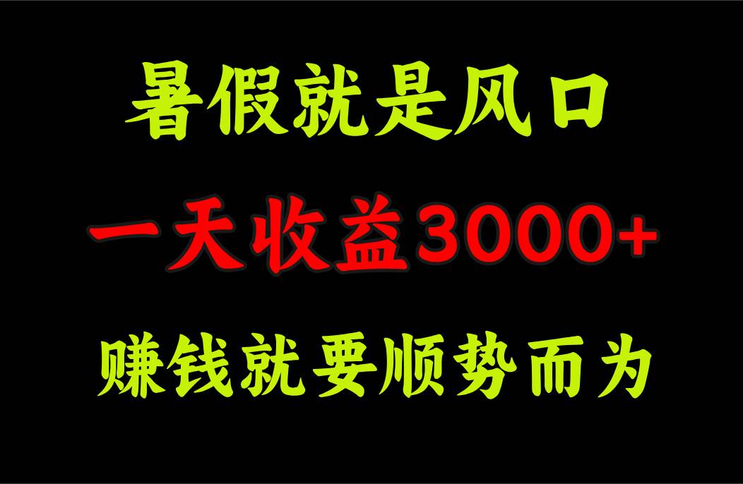 一天收益3000+ 赚钱就是顺势而为，暑假就是风口-小白项目网