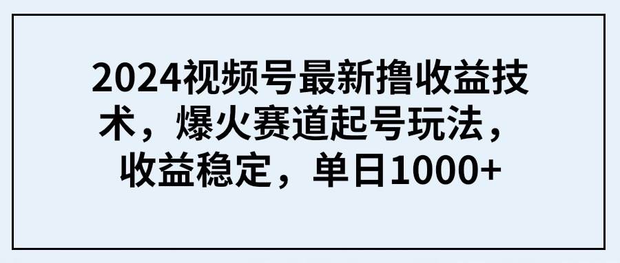 2024视频号最新撸收益技术，爆火赛道起号玩法，收益稳定，单日1000+-小白项目网