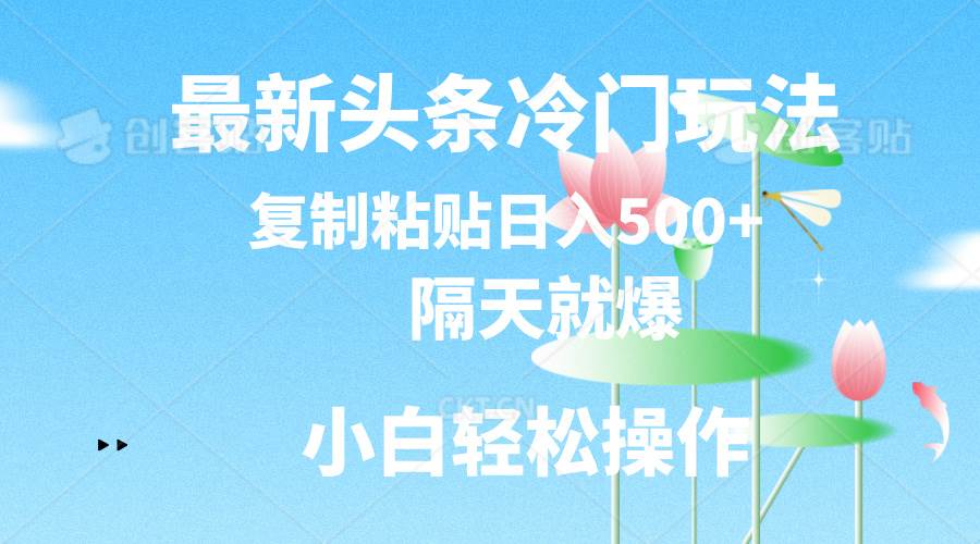 最新头条冷门玩法，隔天就爆，复制粘贴日入500+-小白项目网