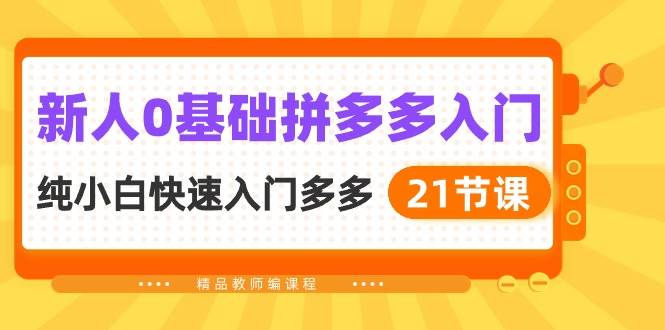 新人0基础拼多多入门，纯小白快速入门多多（21节课）-小白项目网