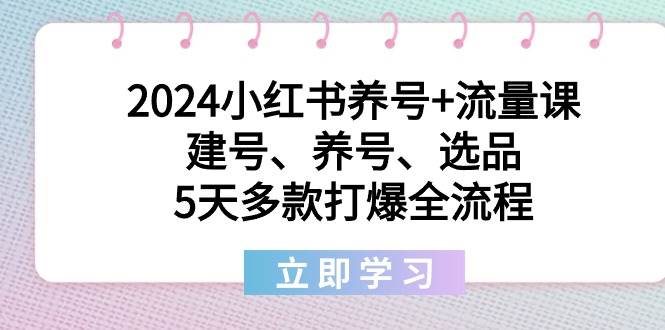 2024小红书养号+流量课：建号、养号、选品，5天多款打爆全流程-小白项目网