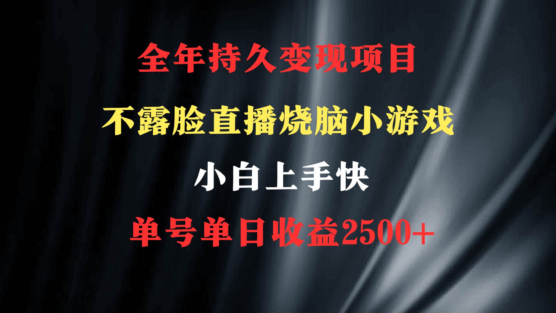 2024年 最优项目，烧脑小游戏不露脸直播  小白上手快 无门槛 一天收益2500+-小白项目网