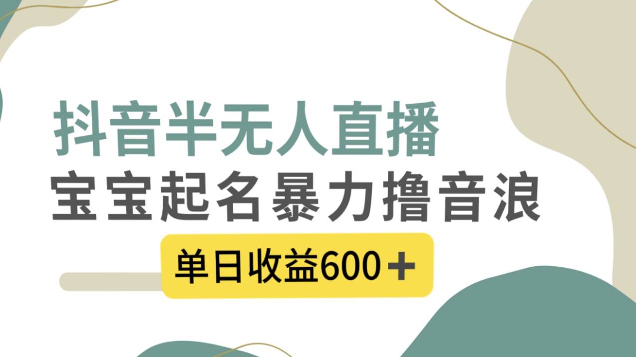 抖音半无人直播，宝宝起名，暴力撸音浪，单日收益600+-小白项目网