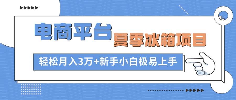 电商平台夏季冰箱项目，轻松月入3万+，小白小白极易上手-小白项目网