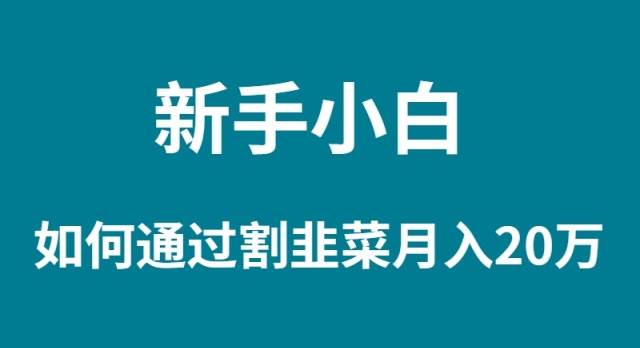 小白小白如何通过割韭菜月入 20W-小白项目网