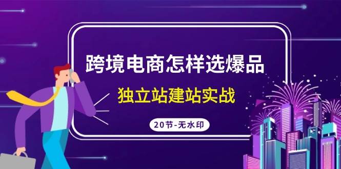 跨境电商怎样选爆品，独立站建站实战（20节高清无水印课）-小白项目网