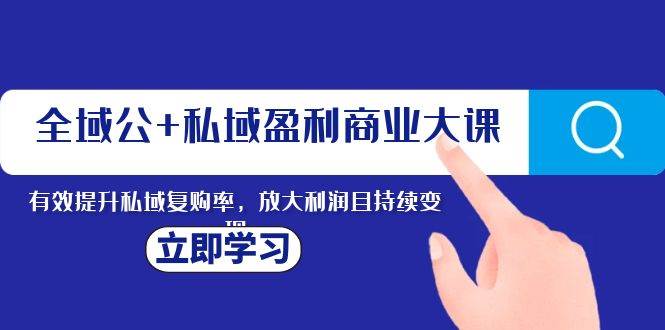 全域公+私域盈利商业大课，有效提升私域复购率，放大利润且持续变现-小白项目网